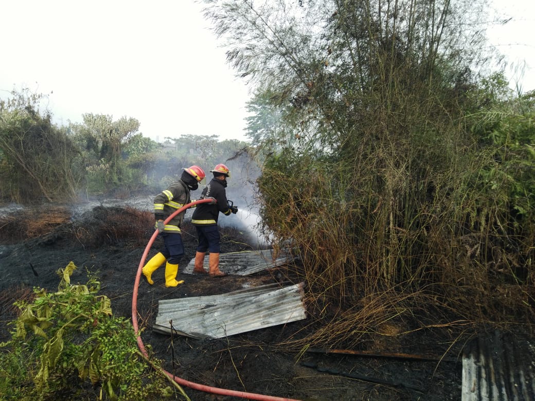 Kebakaran Lahan di Air Pacah Kota Padang