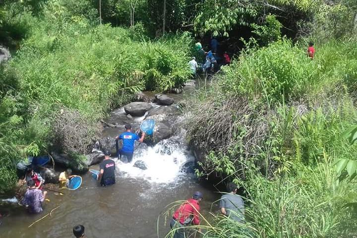 Sembari Berwisata, Ratusan Peserta Ikuti Festival Manangguak Udang di Palupuah