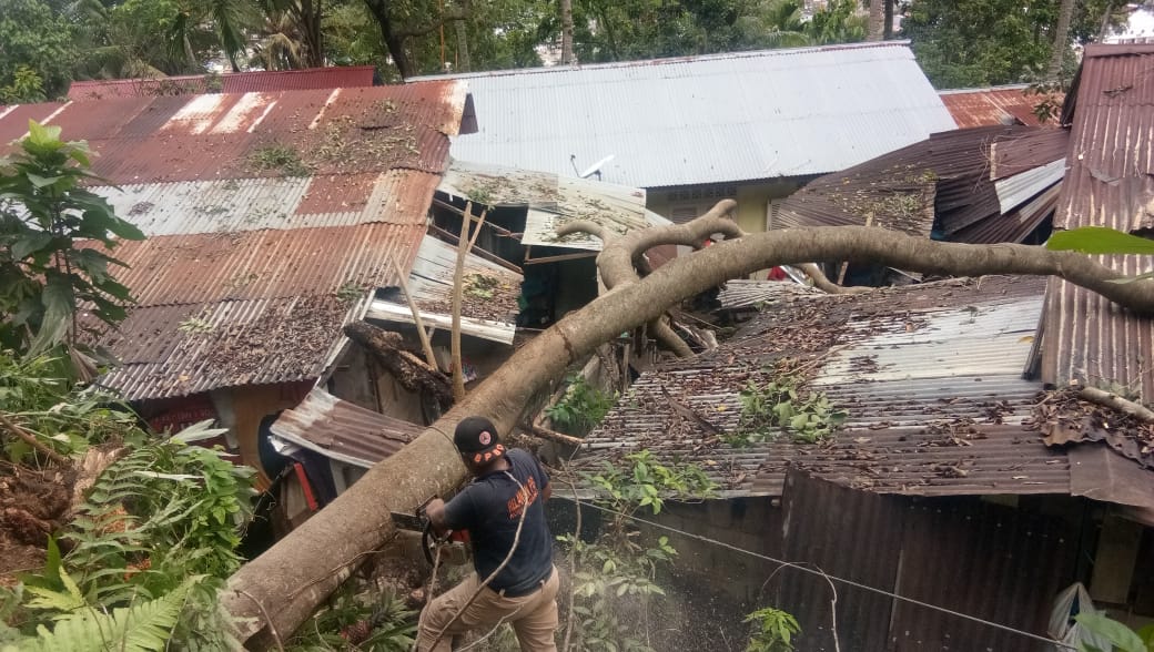 Hujan Lebat Landa Kota Padang Sebabkan Pohon Tumbang Serta Genangan Air