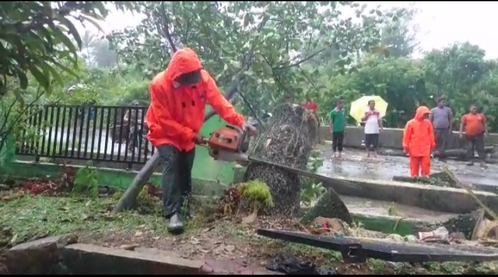 Pohon Tumbang Sebabkan Pagar Sekolah Roboh, TRC BPBD Padang Cepat Tanggap